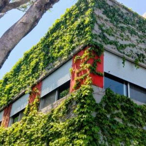 Persianas de Aluminio Madera y PVC